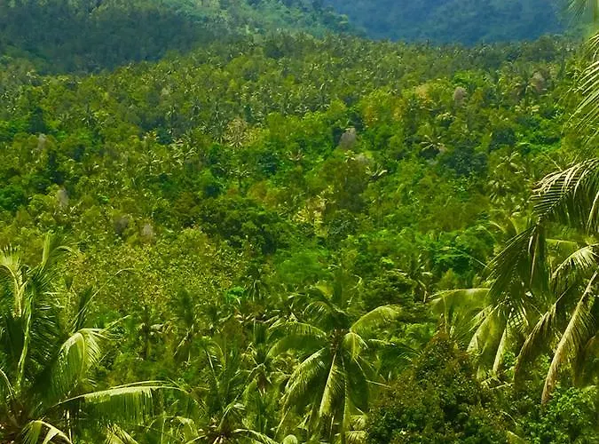 Jembrana Resort 4*