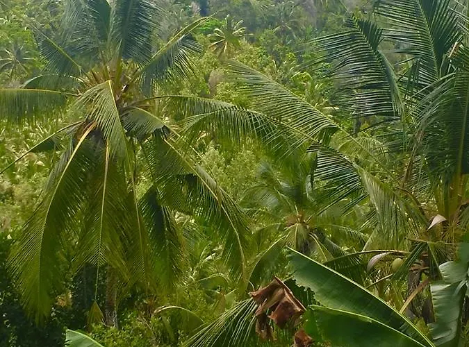 Resort Jembrana Negara (Bali)
